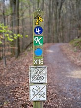 Wooden posts with trail markings and symbols for hiking trails