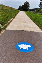 Cycle path on the dyke