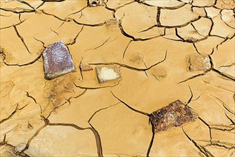 Parched soil and stones