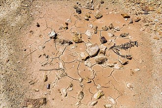 Parched soil and stones