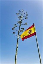 Spanish national flag with national coat of arms