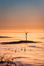 Wind turbines and forest rising from cloud cover