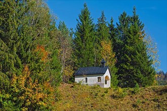 Small chapel in autumn forest