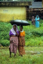 Two woman standing with an umbrella on a rainy day in Attappadi