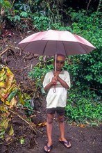 A boy standing with an umbrella on a rainy day in Attappadi