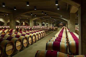 French oak barriques in the aging cellar of Robert Mondavi Winery