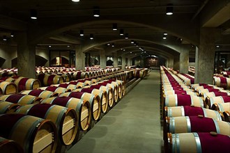 French oak barriques in the aging cellar of Robert Mondavi Winery