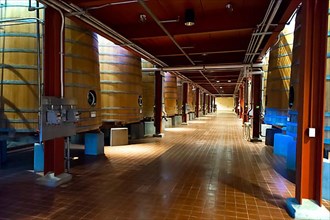 Oak fermentation barrels from the Robert Mondavi Winery