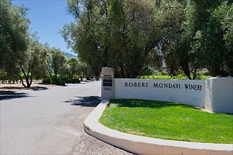 Robert Mondavi Winery driveway