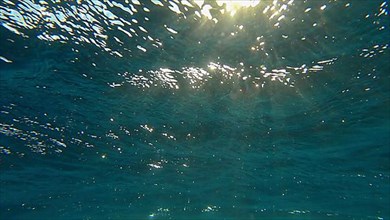 Sunrays penetrate through the surface of the water. Underwater light creates a beautiful veil