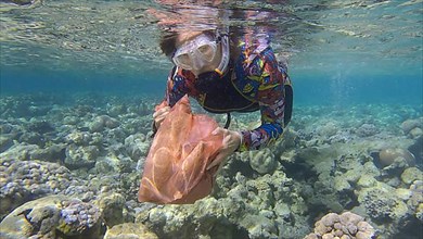 Woman in diving equipment swims and collects plastic debris underwater on the bottom of coral reef. Snorkeler cleaning Ocean from plastic pollution. Plastic pollution of the Ocean. Red sea