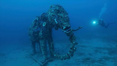 Sculpture of an elephant on the seabed. Lighthouse dive site