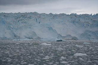Eqi glacier and drift ice in Greenland