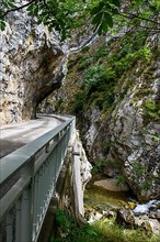 Narrow road through narrow gorge Clue de St. -Auban with overhanging rock