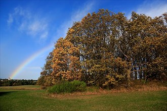 Rainbow over field and woodland near Eschweiler