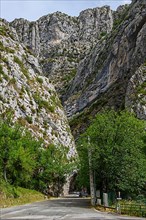 Beginning of narrow road through narrow gorge Clue de St. -Auban with overhanging rock
