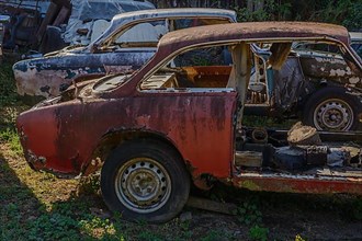 Old cars rolled for scrapping in a meadow. Alsace