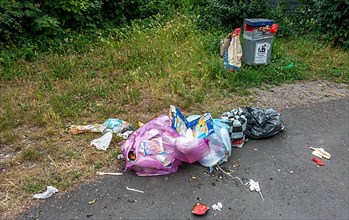 Rubbish lying next to a public rubbish bin on a pavement