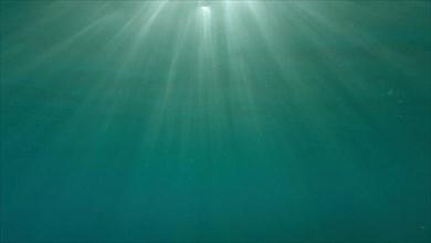 Sunrays penetrate through the surface of the water. Underwater light creates a beautiful veil