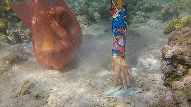 Woman in diving equipment swims and collects plastic debris underwater on the bottom of coral reef. Snorkeler cleaning Ocean from plastic pollution. Plastic pollution of the Ocean. Red sea