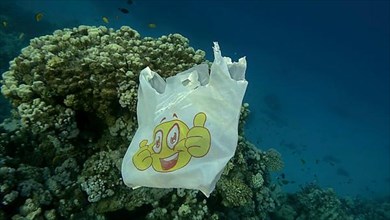 White plastic shoping bag with smiley face drifting underwater near beautiful coral reef with tropical fishes swim around it. Plastic garbage environmental pollution problem. Red sea
