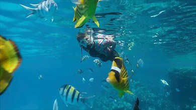 Woman in diving equipment swims on the surface of the water and looks at marine life. Female snorkeler swims underwater and looking at on tropical fishes. Red sea