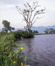 Moyar Lake near Masinagud in Ooty