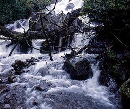 Moyar falls in Singara near Ooty