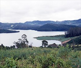 Governar shola and Pykara lake in Nilgiris