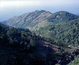 A Hillscape view in Nilgiris
