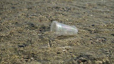 Transparent plastic cup is carried away by the wind to the sea in the coastal zone. Plastic pollution of the surf zone. Red sea