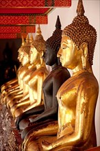 Row of Sitting Buddhas inside Wat Pho