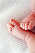 Tiny baby girls feet