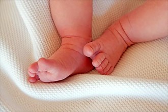 Baby girls feet on a white blanket