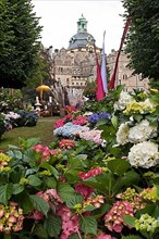 Flowers in front of the castle