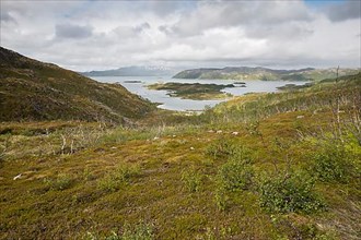 Fjell Landscape