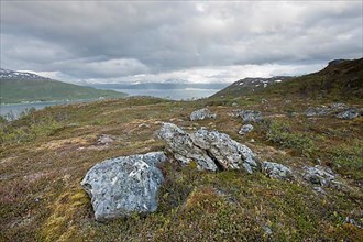 Fjell Landscape