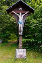 Crucifix in the Albut