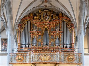 Organ prospect from 1724 with organ from 2000 in the collegiate parish church of St. Philipp and Jakob