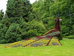 Flower sculpture peacock