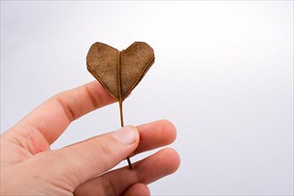 Heart shape cut leaf in hand found on a background full of straws