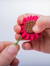 Fake flower in the hand of a child on white background