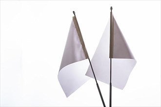 Two white flags on a white background in the display