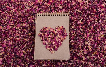 Dry rose petals form a heart shape on a spiral notebook