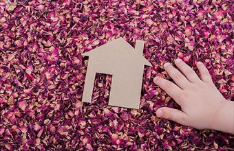 Hand and Paper house on dry rose petals