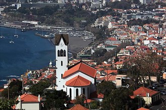 View of Funchal city and harbour