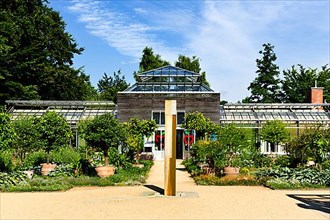 Palm house with cafe in the botanical garden