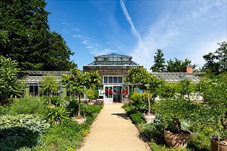 Palm house with cafe in the botanical garden