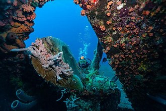 Divers in front of the propeller of the wreck of the Hilma Hooker