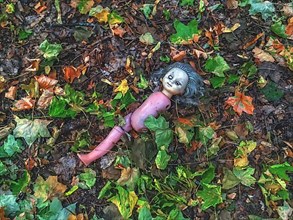 Doll in the foliage